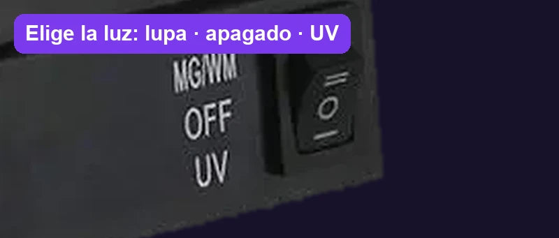 Paso 2
