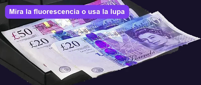 Paso 3