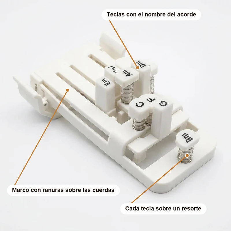 Ayudante De Acordes De Guitarra