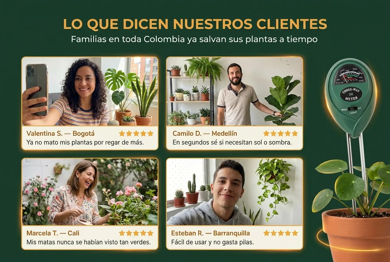 Testimonios